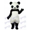 Giant Panda Mascot Adult Costume