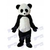 Giant Panda Mascot Adult Costume