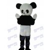 Giant Panda Mascot Adult Costume