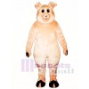 Niedlich Ferkel Schwein Maskottchen Kostüm