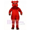 Cute Ruddy Red Pig Mascot Costume