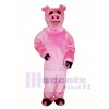 Cute Pig Mascot Costume