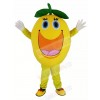Cute Round Orange Mascot Costume
