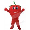 Cute Red Tomato with Smile Mascot Costume