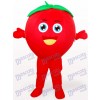 Smiling Tomato Fruit Adult Mascot Costume