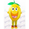 Fruit Orange Plush Mascot Costume