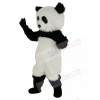 Panda mascot costume