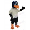 Skyhawk mascot costume