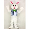Funny Easter Bunny Rabbit with Vest Mascot Costume School 	