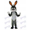 Easter Bugs Bunny Mascot Adult Costume