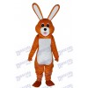 Easter Lovely Brown Rabbit Adult Mascot Costume