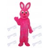 Easter Pink Furry Rabbit Mascot Adult Costume