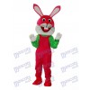 Easter Etiquette Rabbit Mascot Adult Costume