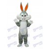 Easter Rabbit Bugs Bunny Mascot Adult Costume Animal 