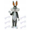 Easter New Bugs Bunny Mascot Adult Costume