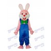 Easter Robbie Rabbit Mascot Adult Costume