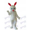 Easter Rabbit Mascot Adult Costume