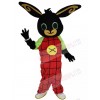 Easter Bunny Rabbit mascot costume