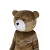 Teddy Bear mascot costume
