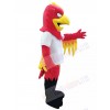 Eagle mascot costume