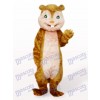 Brown Long Hair Squirrel Animal Adult Mascot Costume