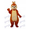 Chipmunk Mascot Adult Costume