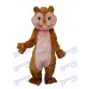 Yellow Squirrel Mascot Adult Costume