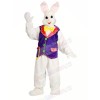 Rabbit with Purple Vest Mascot Costumes Bunny Animal