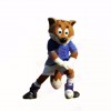 Blue Football Fox Mascot Costumes Cartoon