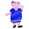 Penny Pig Mascot Costumes Cartoon