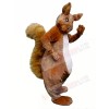 High Quality Furry Squirrel Mascot Costumes 