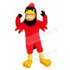 Strong Red Cardinal Mascot Costumes Animal