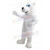 Bear mascot costume