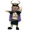 Viking Mascot Costume