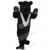 Bear mascot costume