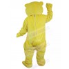 Bear mascot costume