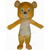 Bear mascot costume