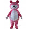 Bear mascot costume