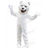 Bear mascot costume