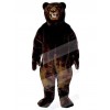 Bear mascot costume