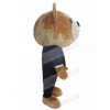 Bear mascot costume