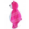 Bear mascot costume