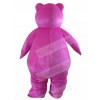 Bear mascot costume