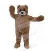 Bear mascot costume
