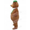 Bear mascot costume