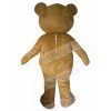 Bear mascot costume