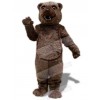 Bear mascot costume