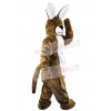 Easter Bunny Rabbit mascot costume
