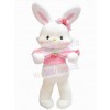 Easter Bunny Rabbit mascot costume