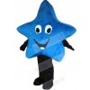 Star mascot costume